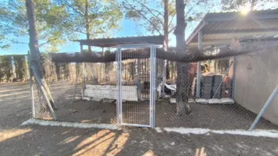 House in Yecla photo 20