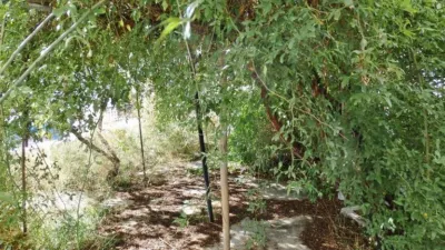 Casa in Jayena photo 20