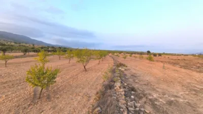 Terreno en venta en El Pinós - Pinoso - Vista 2