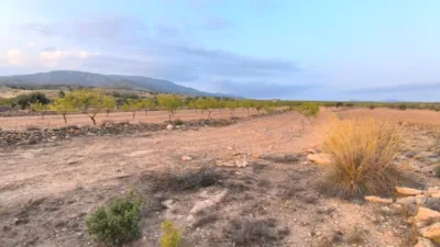 Terreno en venta en El Pinós - Pinoso - Vista 3
