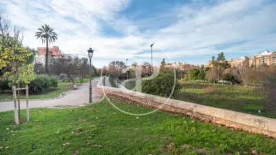 House in El Carme photo 30