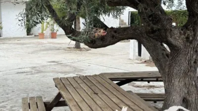 Rustic Finca in Taberno photo 5