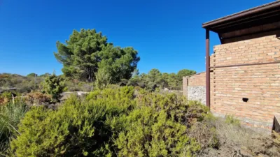 Rustic Finca in Albuñuelas photo 3