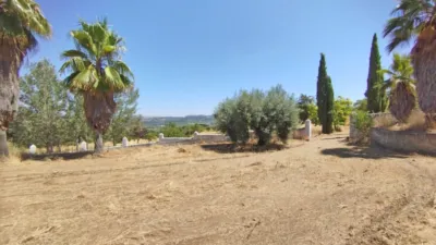 Rustic finca in Setenil de las Bodegas photo 12