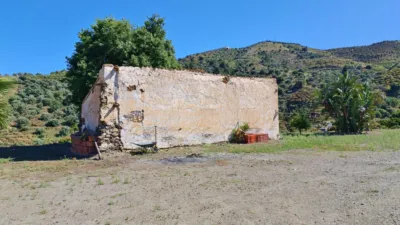 Rustic Finca in Frigiliana photo 13