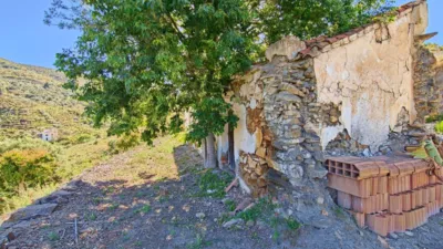 Rustic Finca in Frigiliana photo 18