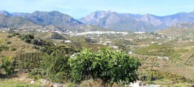 Rustic Finca in Frigiliana photo 2