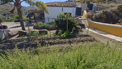 Rustic Finca in Frigiliana photo 7