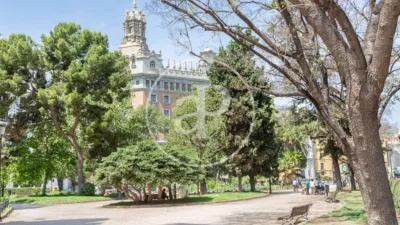 Apartamento en La Xerea photo 53