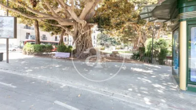 Apartamento en La Xerea photo 57