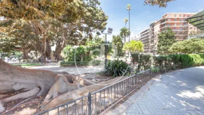 Apartamento en La Xerea photo 58