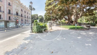 Apartamento en La Xerea photo 59