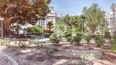 Apartamento en La Xerea photo 62