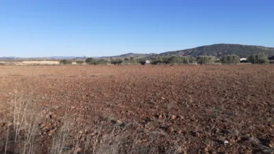 Terreno en venta en El Pinós - Pinoso - Vista 2