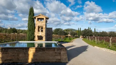 Rustic Finca in Pollença photo 18