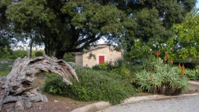 Rustic Finca in Pollença photo 24