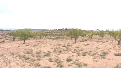 Terreno en venta en El Pinós - Pinoso - Vista 5