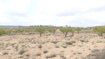 Terreno en venta en El Pinós - Pinoso - Més