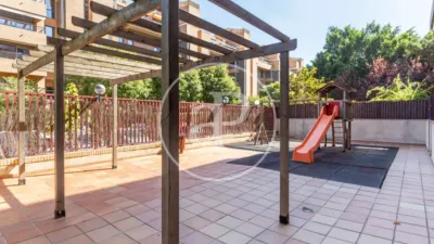 Duplex Penthouse in Sant Pau photo 29