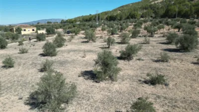 Terreno en venta en El Pinós - Pinoso - Vista 2