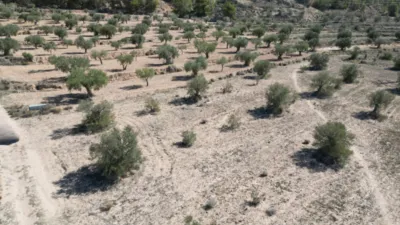 Terreno en venta en El Pinós - Pinoso - Vista 3