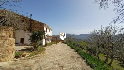 Rustic Finca in Huelma photo 4