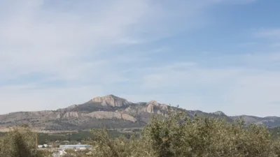 Terreno en venta en Sax - Vista 4