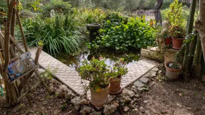 House in Muro photo 8