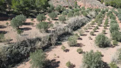 Terreno en venta en El Pinós - Pinoso - Vista 2