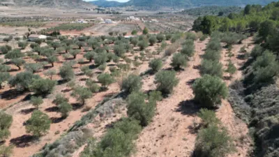 Terreno en venta en El Pinós - Pinoso - Vista 4