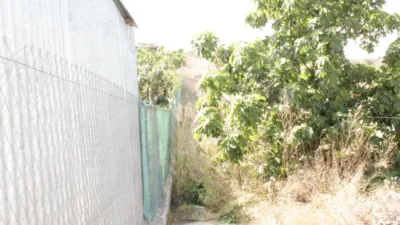 House in Yecla photo 33