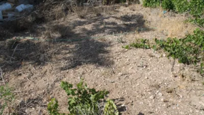 House in Yecla photo 40
