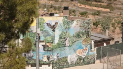 House in Yecla photo 48