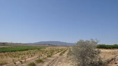 Terreno en venta en El Pinós - Pinoso - Vista 5