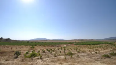 Terreno en venta en El Pinós - Pinoso - Més