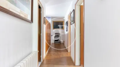 House in Bellaterra photo 26