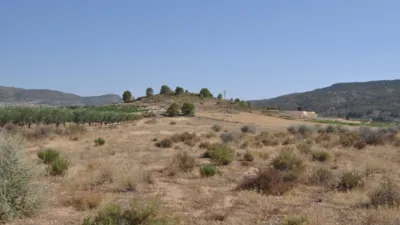 Terreno en venta en El Pinós - Pinoso - Vista 2