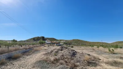 House in Barinas photo 11