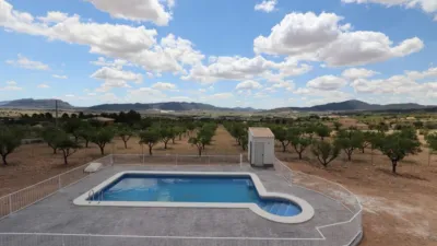 Chalet in El Pinós - Pinoso photo 9
