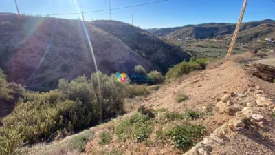 Rustic Finca in Albox photo 27
