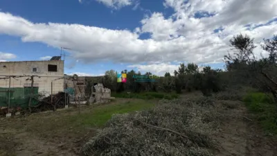 Rustic Finca in Serón photo 4
