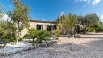 Rustic Finca in Alcúdia photo 10