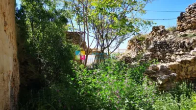 House in Oria photo 14