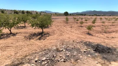 Terreno en venta en Monòver - Monóvar - Vista 2