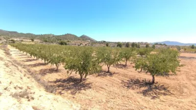 Terreno en venta en Monòver - Monóvar - Vista 3