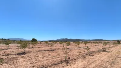 Terreno en venta en Monòver - Monóvar - Vista 4