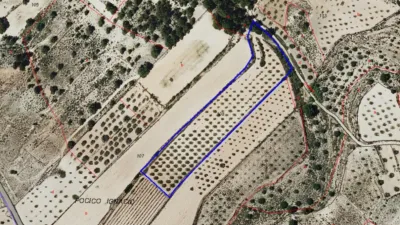 Terreno en venta en Monòver - Monóvar - Vista 5