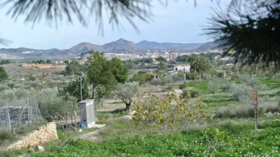 Finca rústica en Monòver - Monóvar photo 3