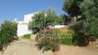 Rustic Finca in Castillo de Locubín photo 3