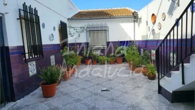 Apartment in Benamejí photo 2